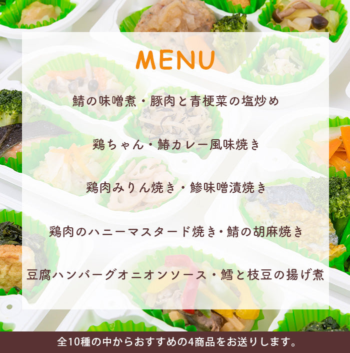 選べる 冷凍健幸弁当 お得な10食セット