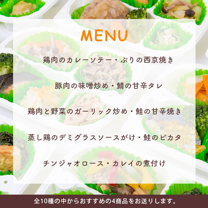 おまかせ 冷凍健幸弁当 お得な10食セット